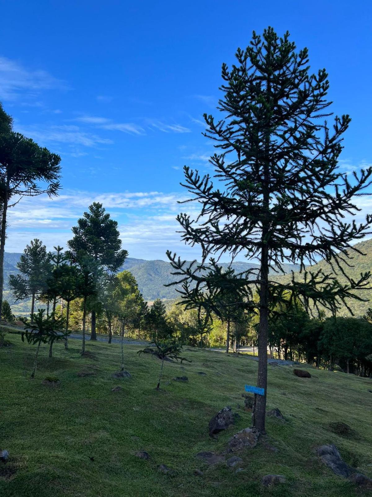 Cabana Refugio - Pousada Colina Dos Ventos Urubici Esterno foto
